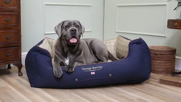 Best Dog Beds for Big Dogs
