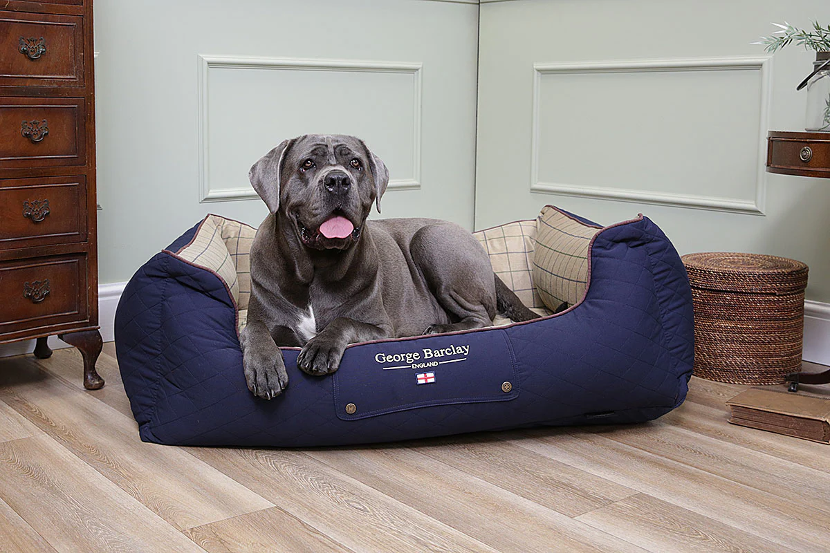 Best Dog Beds for Big Dogs