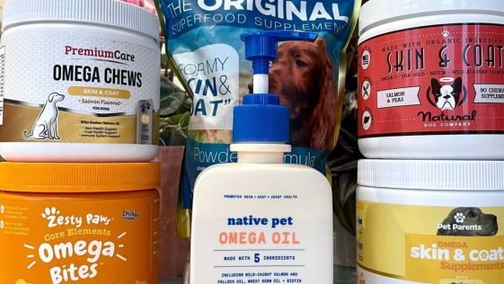 Best Dog Supplements