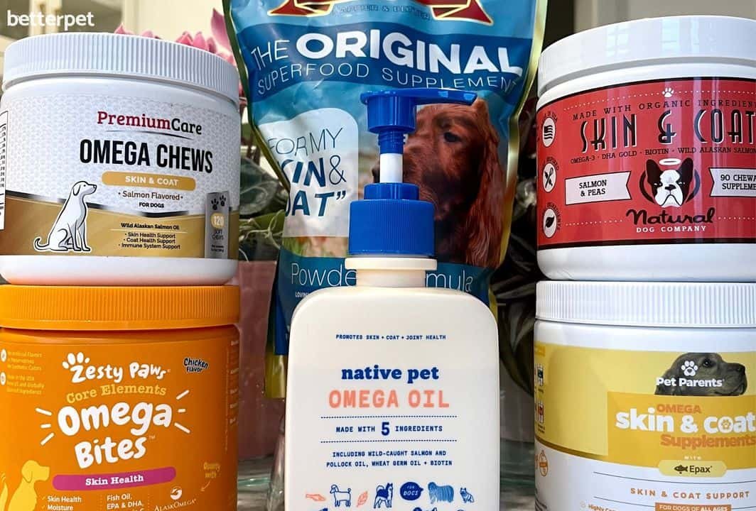 Best Dog Supplements