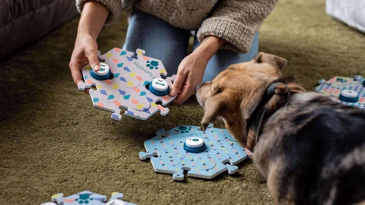 Best Dog Talking Buttons