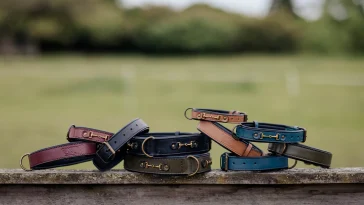 Best Leather Dog Collars