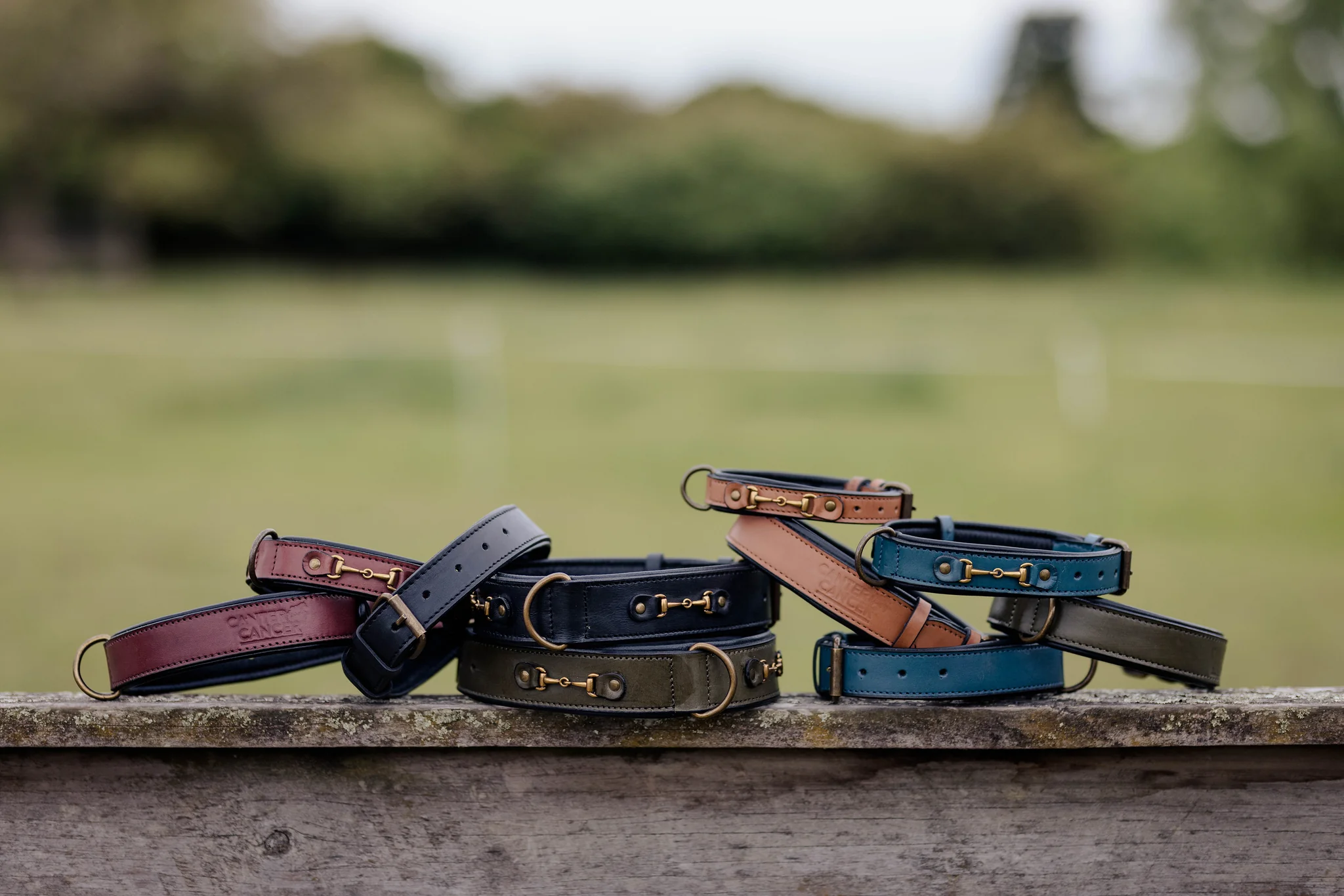 Best Leather Dog Collars