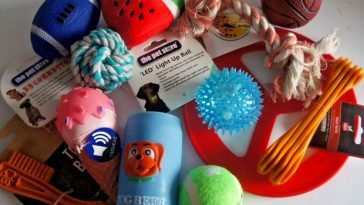 Best Light Up Dog Toys for Nighttime Play
