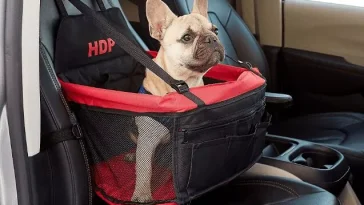 Best Dog Car Seats