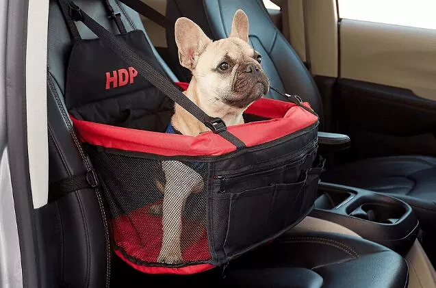 Best Dog Car Seats