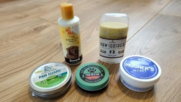 Best Dog Paw Balms
