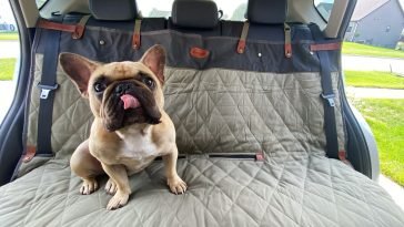 Best Dog Seat Covers
