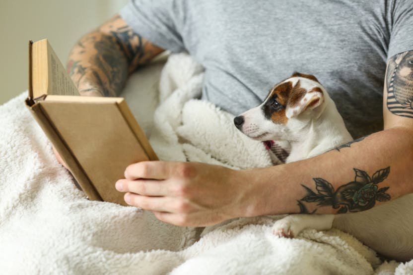 Best Dog Training Books