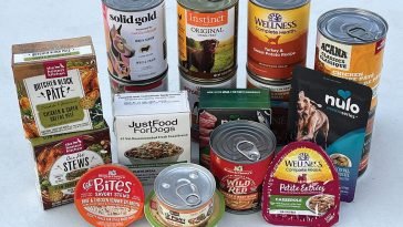 Best Wet Dog Foods
