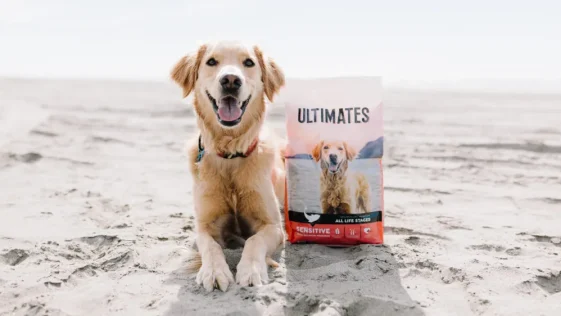 7 Best Dog Foods for Sensitive Stomachs in 2025