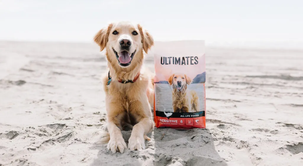 7 Best Dog Foods for Sensitive Stomachs in 2025