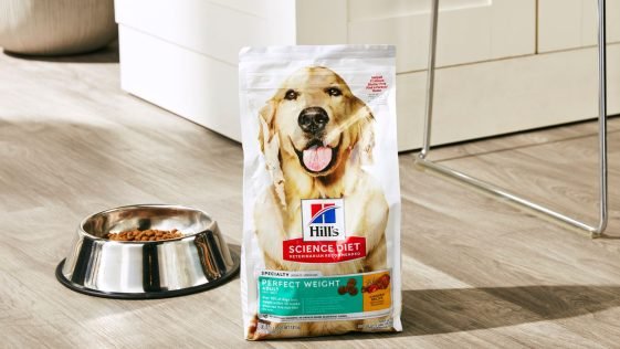 Best Dog Foods for Weight Management