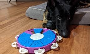 Best Dog Puzzle Toys
