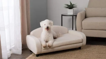 Best Dog Sofa Beds