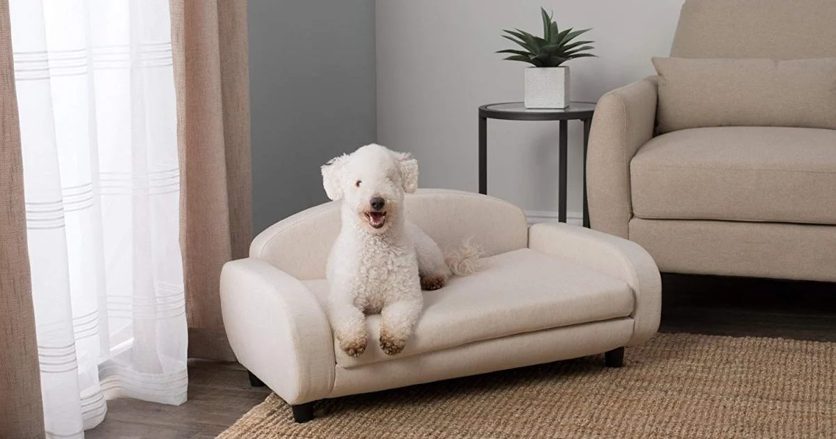 Best Dog Sofa Beds